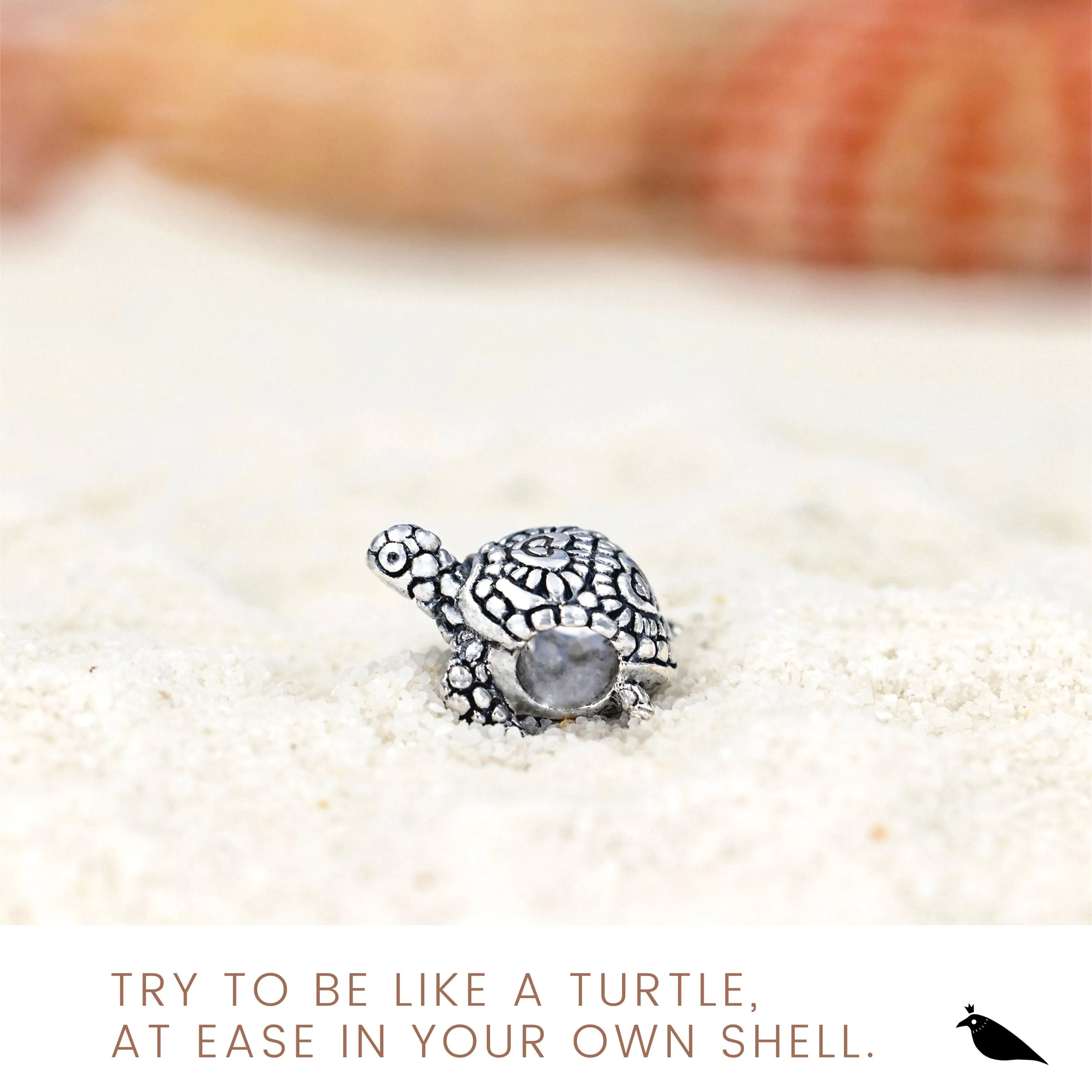 Black Raven Endurance Sea Turtle