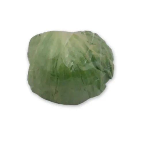 Iceberg each