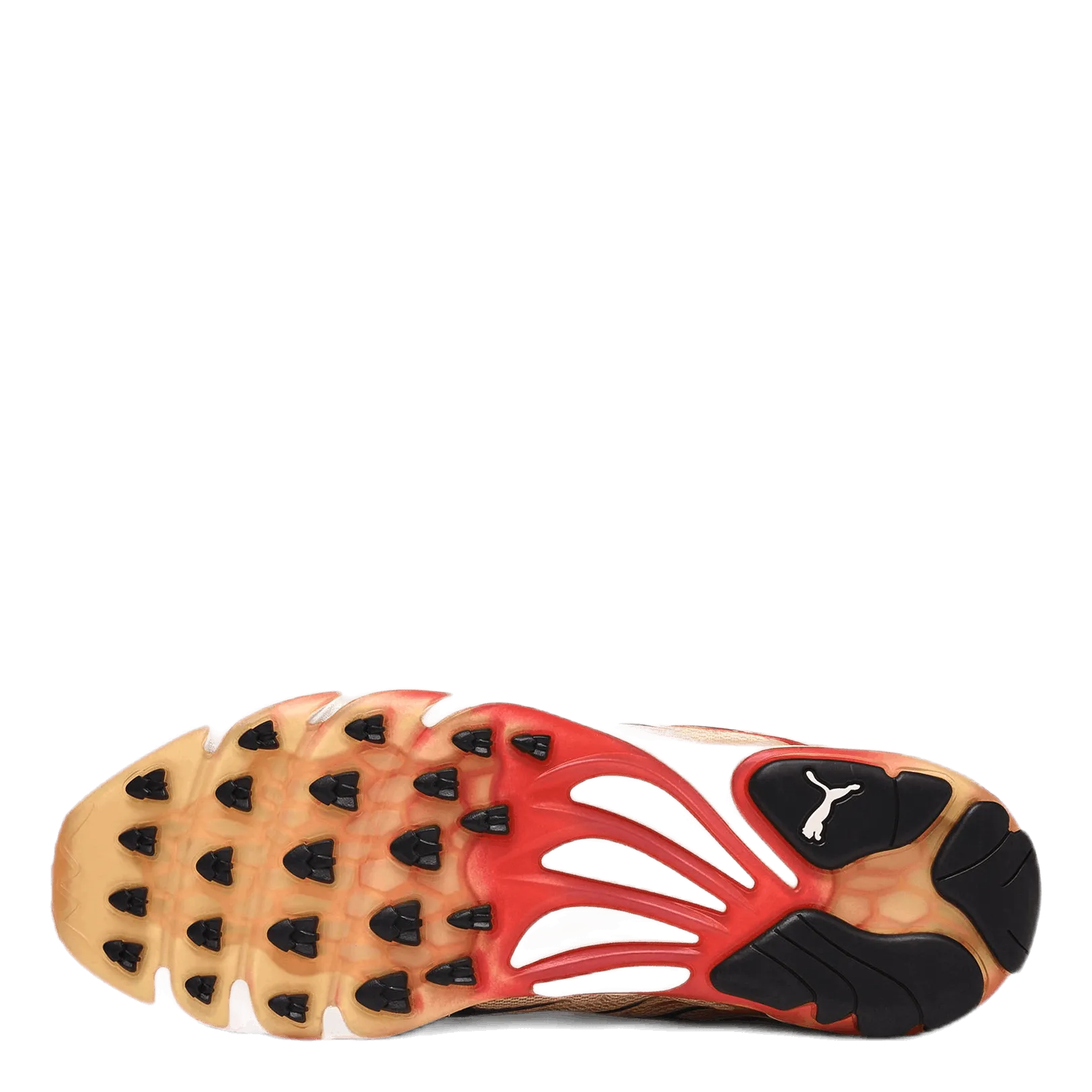 Inhale Khaki